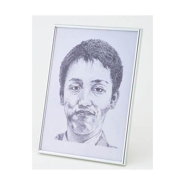 A[ebN _`t[  artec wZpi ߋ