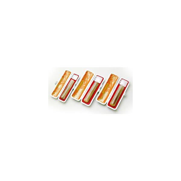  ͂  s F߈ SMSZbg 3{Zbg (F13.5mm sF13.5mm FF10.5mm) p(F) ӃP[X(g)t 