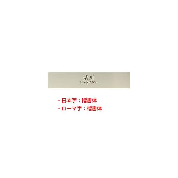 XeX\D HSW-005 Vv[hV[YinRhbgRIWi\Dj TCYF200mmX40mm 1mm