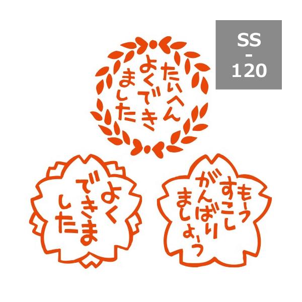 Tr[ eB[`[X^v Zi3{gjSS-120 30mmp 搶X^v ] ͂