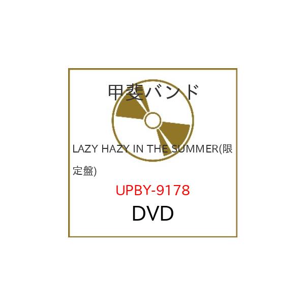 DVD/甲斐バンド/LAZY HAZY IN THE SUMMER (限定盤)