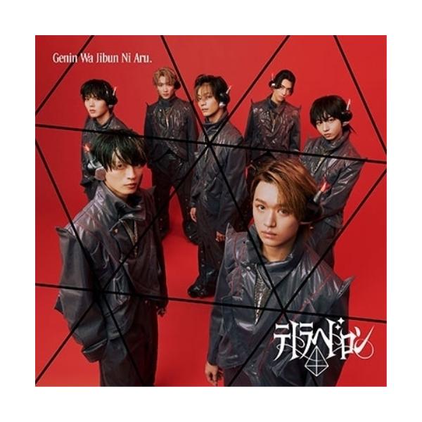 ビクターエンタテインメント CD/原因は自分にある。/テトラへドロン