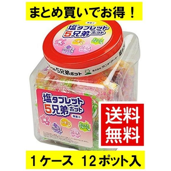 年 送料無料 塩タブレット5兄弟 12ポット入り 1ケースまとめ買い 約155粒 12ポット 1箱 800 5034 5つの味で美味しく塩分補給 熱中症対策 Buyee Buyee Japanese Proxy Service Buy From Japan Bot Online