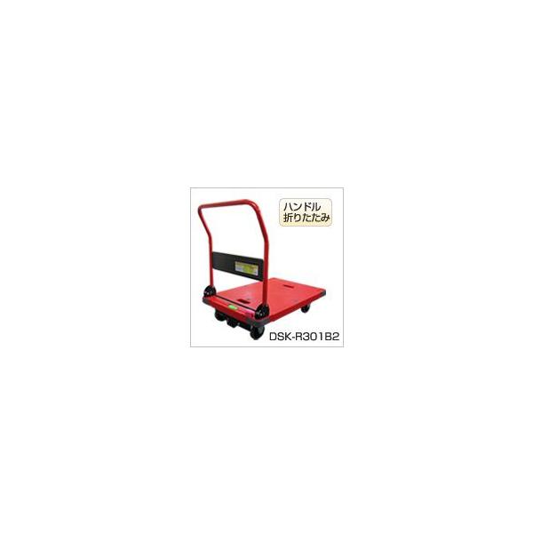 hanshin-k_dsk-r301b2 hanshin-k_dsk-r301b2
