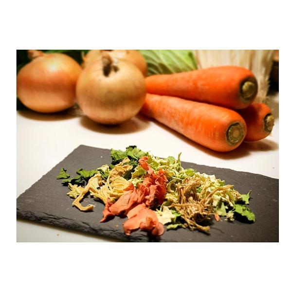 保存食セット 1日分の高知乾燥野菜ミックスBOX 10袋入×12箱 1ケース ALL SLOW FOOD 5年保存 ドライ野菜