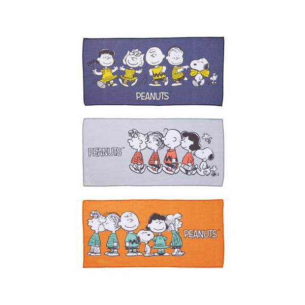 【並行輸入品】 キャラクターライン デイリータオル × 1個　フェイスタオル