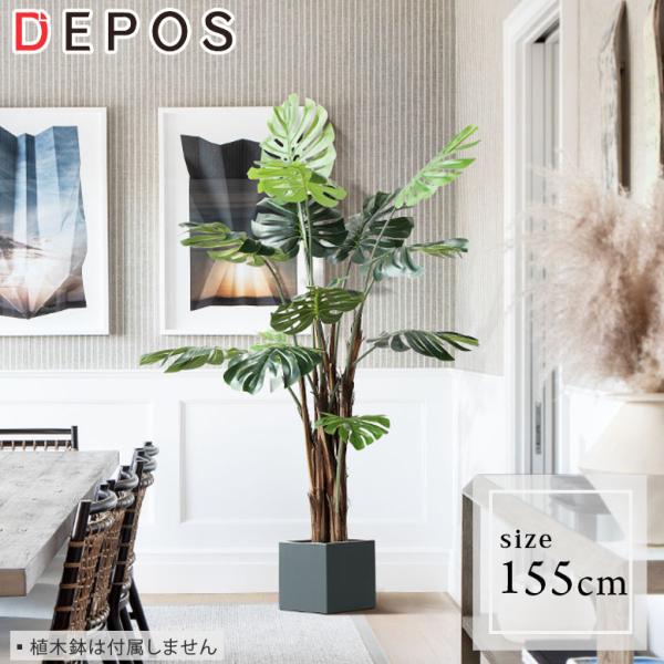 lHϗtA tFCNO[ ϗtA  CeA ^ Xe 155cm Monstera tree ^z hnw1