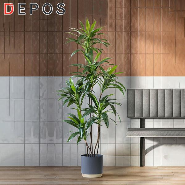 ■特徴 ・手軽に緑を取り入れて、おしゃれで癒しのナチュラルライフを楽しみませんか？  ・明暗の緑の葉が美しい、ドラセナワーネッキ―です。  ・花言葉は「幸福」「隠しきれない幸せ」「あふれる幸せ」です。 ハワイでは、家の前に置くと幸福が訪れる...