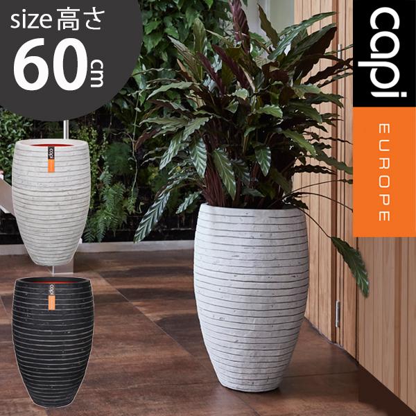 大型植木鉢 Capi トールエレガントロウ 高さ60cm 40 60 送料無料 樹脂製 鉢 縦長型 カピ ブラック アイボリ Krwi1131 0 Depos 通販 Yahoo ショッピング
