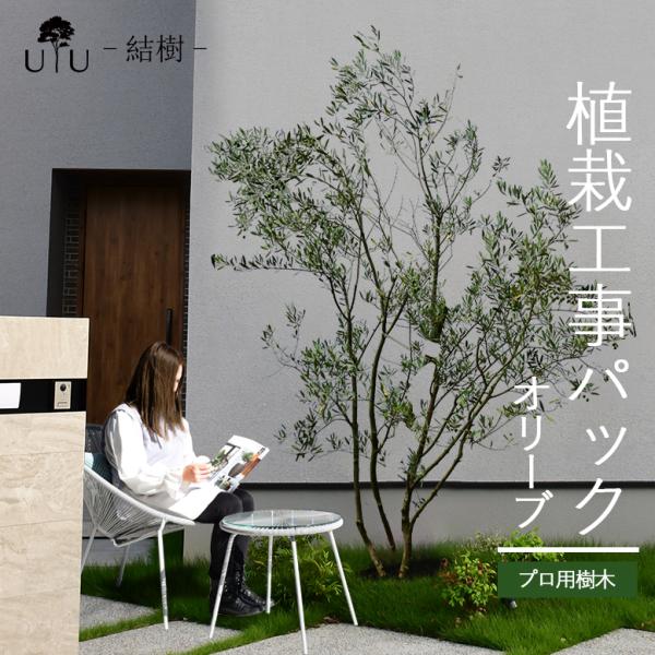 hanwa-ex_uju-olive