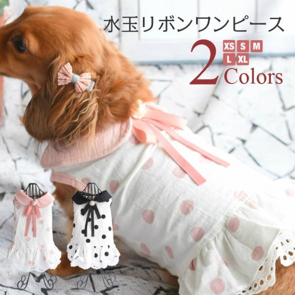 y z yt āz  [X s[X p[ { t