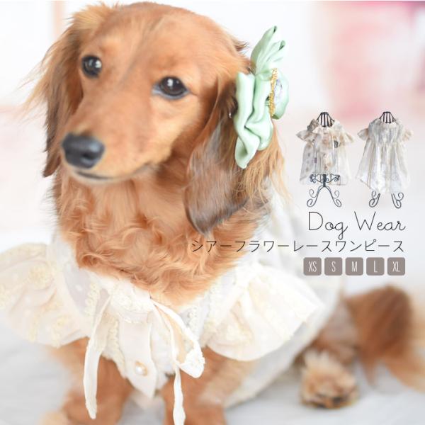 y z yt āz VA[ VtH t[ [X s[X