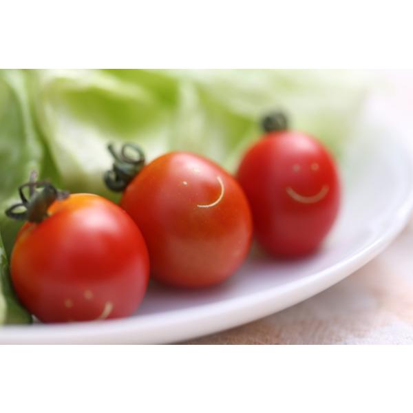 ハピフルとまと ８５０ｇ前後 約6０粒前後 Buyee Buyee 日本の通販商品 オークションの代理入札 代理購入