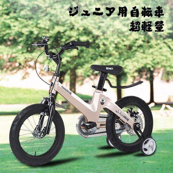 スタイリッシュ キッズバイク 16インチ マグネシウムフレーム 軽量 子供自転車 スタイリッシュ キッズバイク 16インチ マグネシウムフレーム