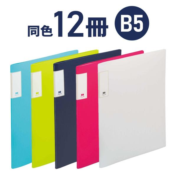 クリアファイル ハピラ スリムマックス B5 20ポケット 12冊