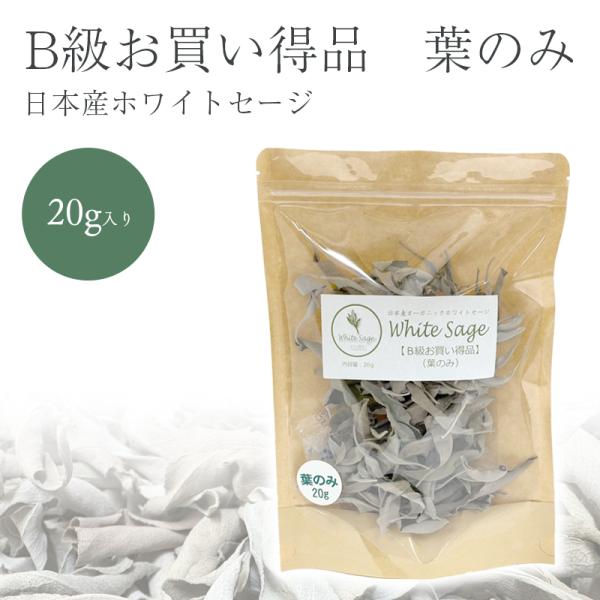 日本産 ホワイトセージ B級お買い得商品 葉のみ 20g 浄化用 消臭 クリックポスト パワーストーン 浄化 お香