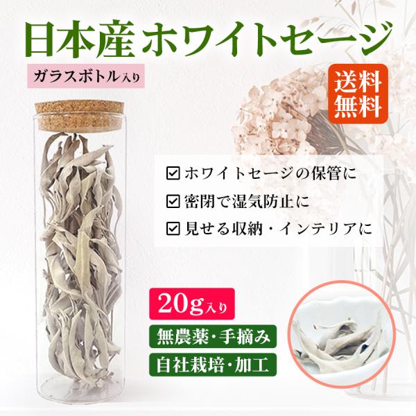 日本産 ホワイトセージ 20g ガラスボトル入り 瓶 セージ 浄化 容器