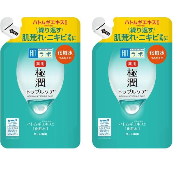 【まとめ買い】2個 セット 肌研 極潤 スキン コンディショナー 薬用 抗炎症 成分 2種×ヒアルロン酸×スクワラン×ハトムギエキス配合 詰替用 170mL