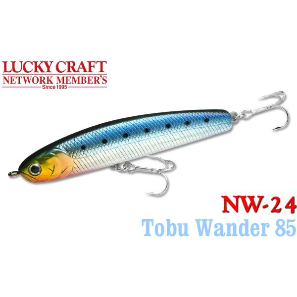 LUCKY CRAFT ラッキークラフト NW-Amigo 24 飛ぶワンダー85