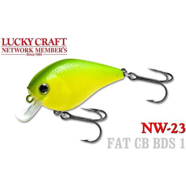 ラッキークラフト NW-Amigo 22 FAT CB BDS 1