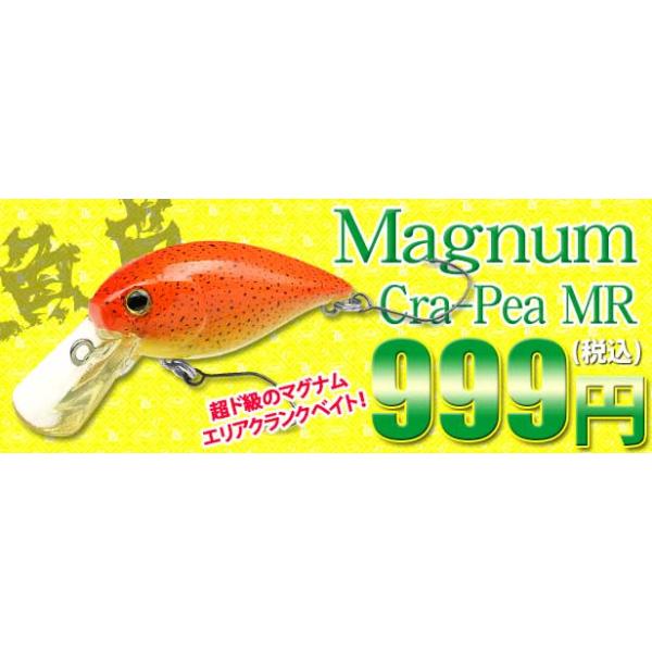 hapinetangler_0987_1_d_20260331081910