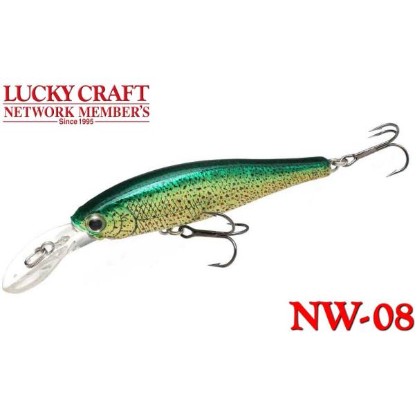 ラッキークラフト NW-Amigo 08 / ビーフリーズ65LB F
