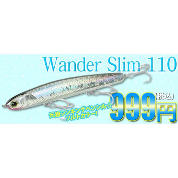 hapinetangler_sw-wds110_2_d_20250609122300