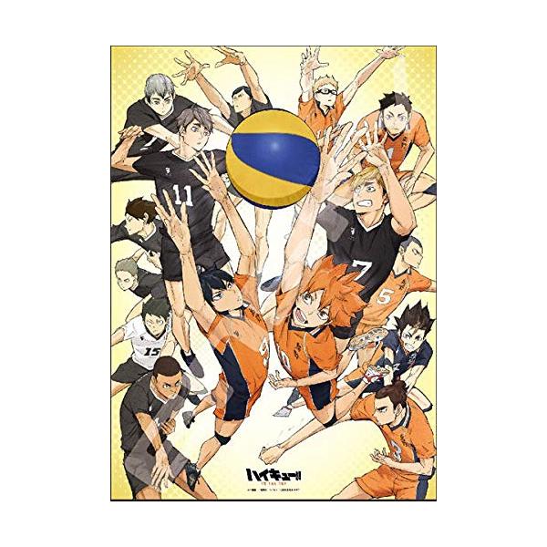 エンスカイ(ENSKY) 1000ピースコンパクト ジグソーパズル ハイキュー