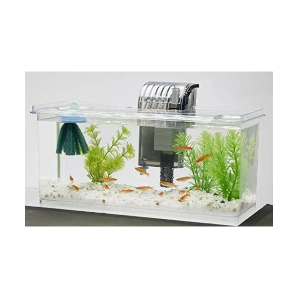 他サイト： Tetra テトラ メダカの繁殖を楽しむセット L 水槽 アクアリウム 熱帯魚 メダカ 金魚 透明の商品画像