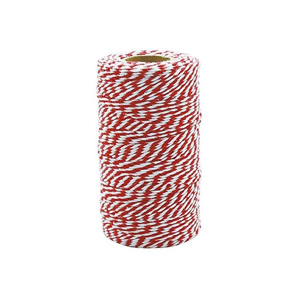 他サイト： ダルトン(Dulton) ツイステッド ストリング ホワイト/レッド 100m WHITE-RED GS555-266Aの商品画像