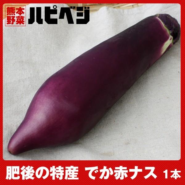 原材料：赤ナス賞味期限：到着後お早目にお召し上がりください。保存方法：高温多湿、直射日光を避けて冷蔵庫で保存してください。産地：熊本県内容量：【1本】配送方法：佐川急便で配送お届けは12月〜3月普通便、4月〜11月まではクール便でのお届けに...