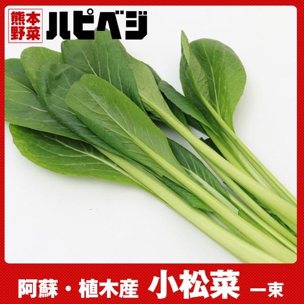 原材料：小松菜賞味期限：到着後お早目にお召し上がりください。保存方法：高温多湿、直射日光を避けて冷蔵庫で保存してください。産地：熊本県内容量：【一束】配送方法：佐川急便で配送お届けは12月〜3月普通便、4月〜11月まではクール便でのお届けに...