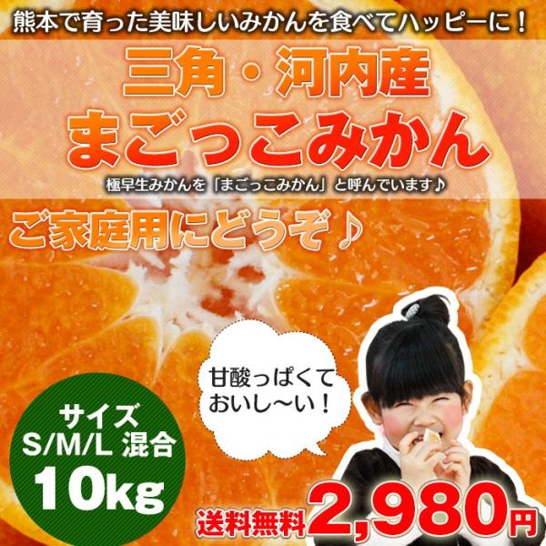 庄村さんが作る最高傑作みかん！元気と味に自信！！まごっこみかん