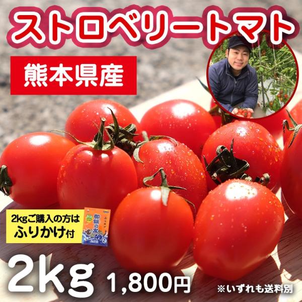 hapiveg_strawberrytomato-2kg