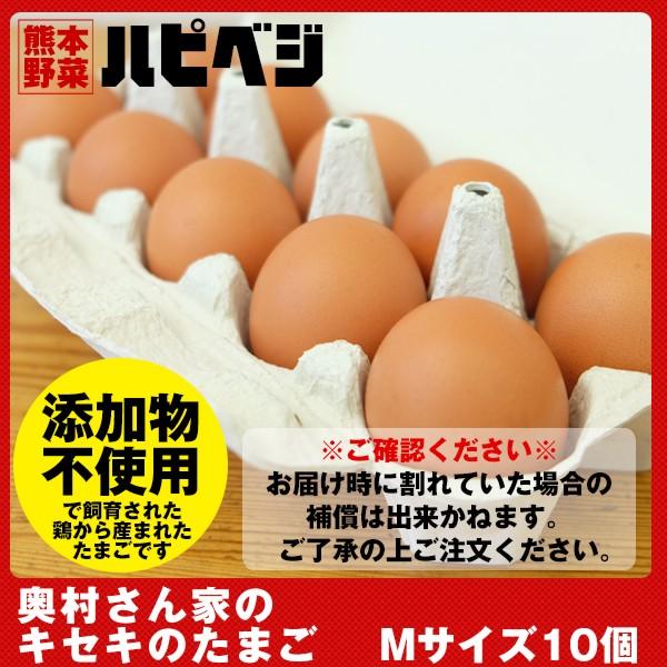 奥村さん家のキセキのたまご【Mサイズ 10個】同梱専用 ※こちらの商品は