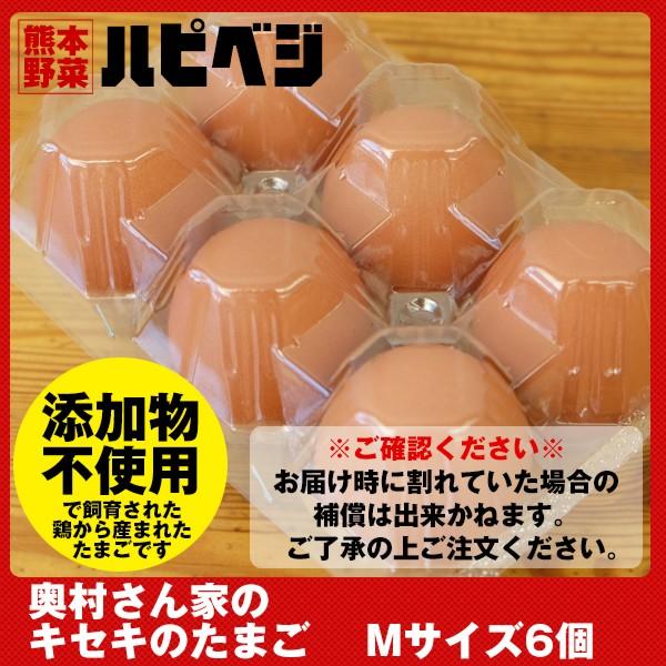 奥村さん家のキセキのたまご【Mサイズ 6個】同梱専用 ※こちらの商品は