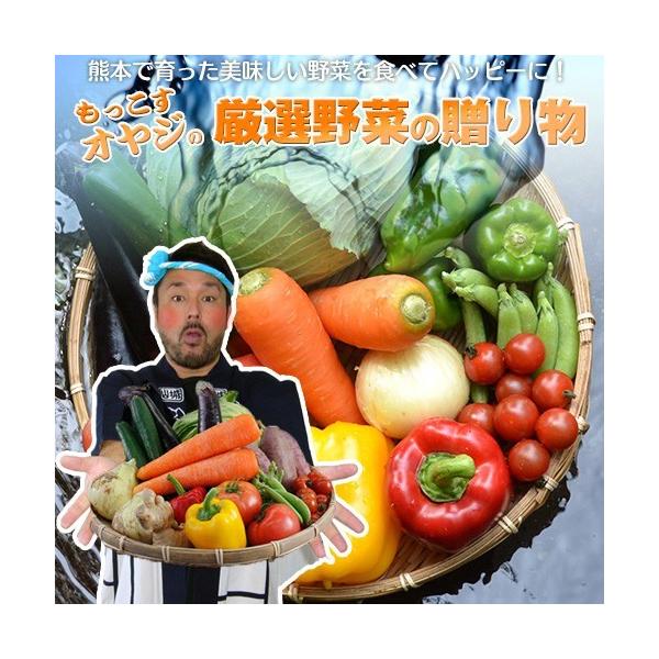 名称:もっこすおやじの厳選野菜セット7種産地：熊本県産内容量：厳選野菜7種