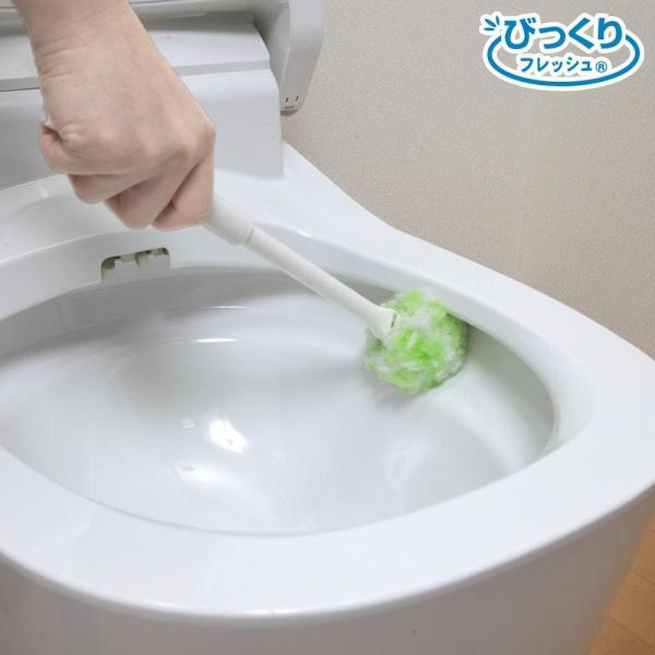サンコー コーティング加工用 トイレクリーナー グリーン Bf 65 Pindo Com Py