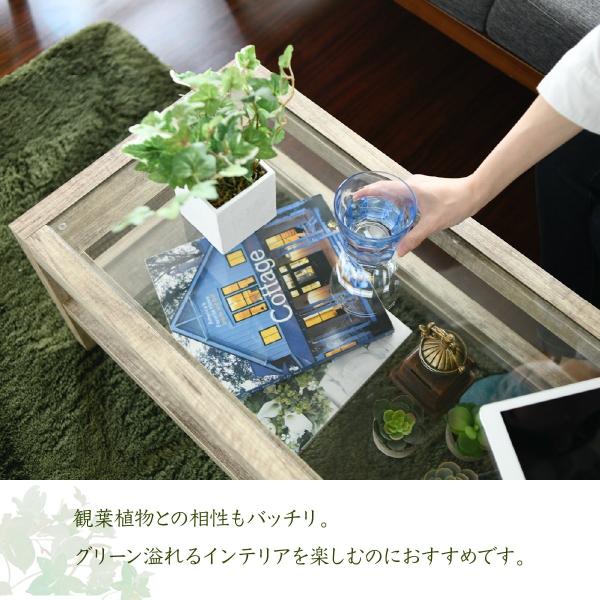 インドアグリーン リビングテーブル ガラス 高さ35 古材 風 インテリア 幅80 シンプル グリーン ローテーブル 一人暮らし おしゃれ 35 Off 観葉植物 シャビー 木製