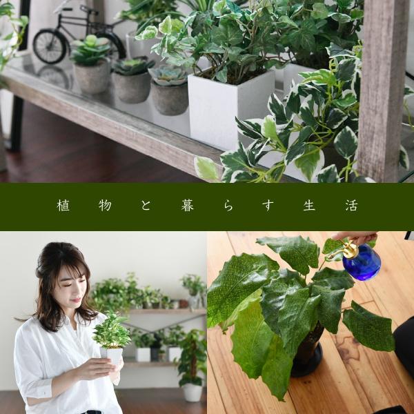 グリーンインテリア スタンドミラー 姿見 ガラス インテリア グリーン 送料0円 観葉植物 シャビー おしゃれ 木製 古材 棚 ラック 一人暮らし 多肉 植物 シンプル