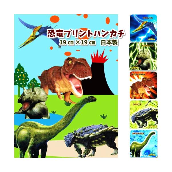 恐竜博士 タオルハンカチ 50 ほんわか日和 通販 Yahoo ショッピング