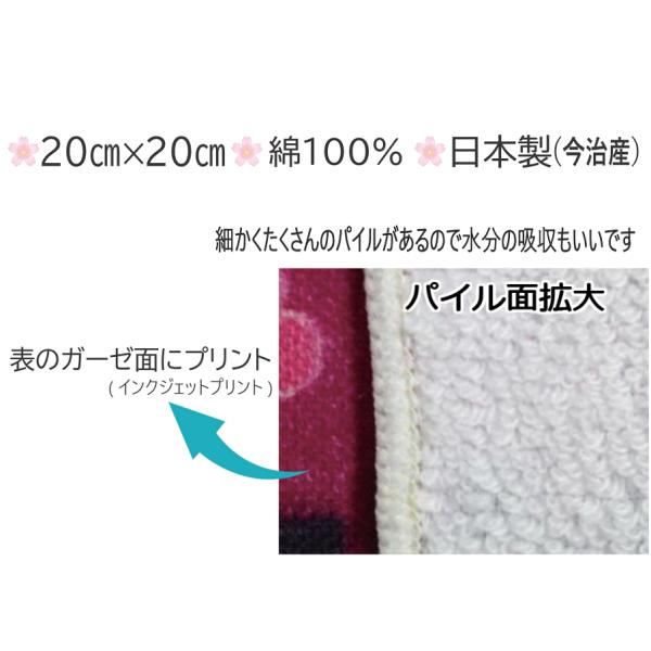�S��㇗��@�K�[�[�^�I���n���J�`�@�R���������łP���v���[���g�@���킢���@�a���@��100���@���{���@�v�`�M�t�g�@�C�O�̂��݂₰ ���i�摜2