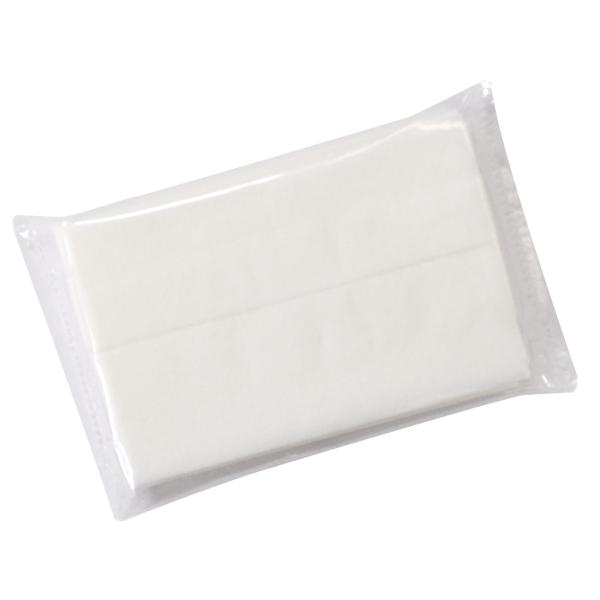 無地白 お受験用ミニミニティッシュ 10個 日本製 : お受験グッズの