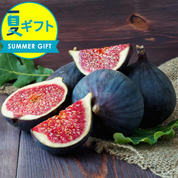 サマーギフト 花プレゼント ギフト 幻の黒 イチジク 果樹