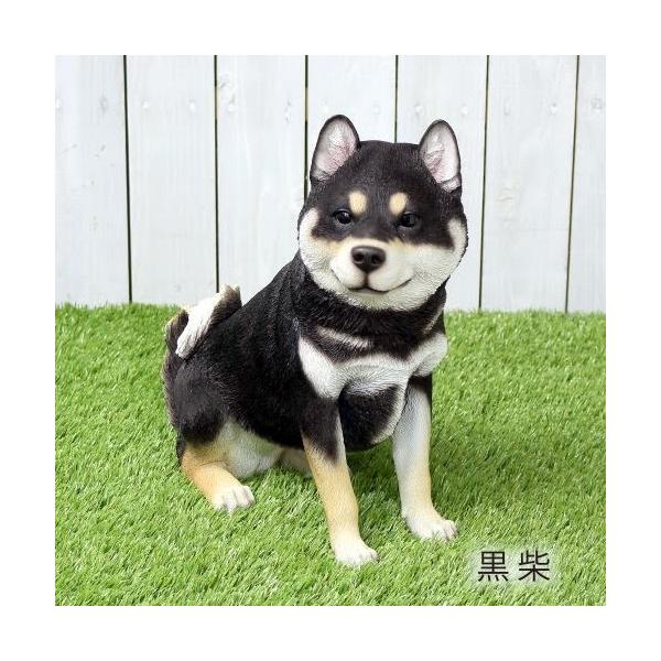 アニマルオブジェ：柴犬(親）おすわり：黒柴犬 置物 インテリア 動物