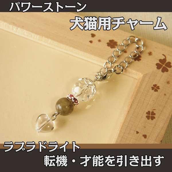 p[Xg[ VR ybgp lbNX `[ uhCg 