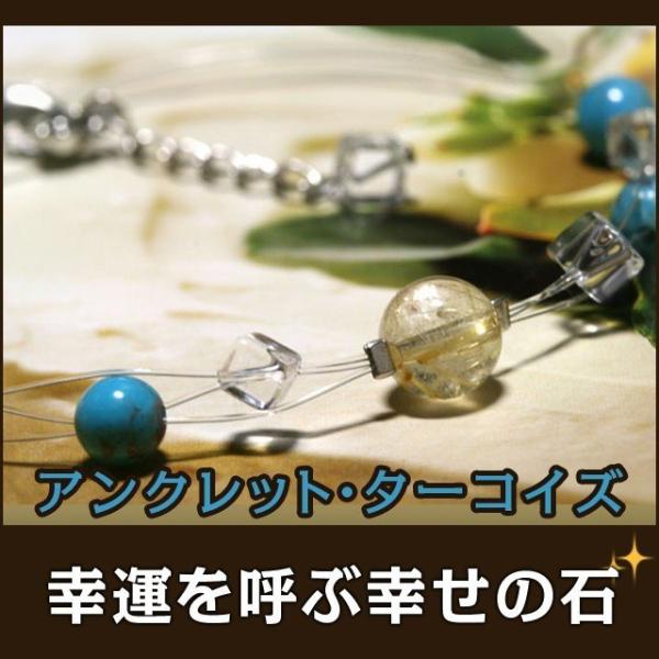 �p���[�X�g�[�� �V�R�� �A���N���b�g �^�[�R�C�Y