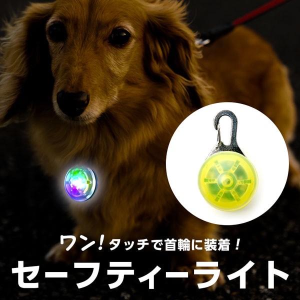 セーフティーライト ペット用 犬 首輪 ライト 散歩 お散歩 夜間 ライト クリップ キーホルダー 光る カラビナ Led Avtovokzal Gomel By Index Php