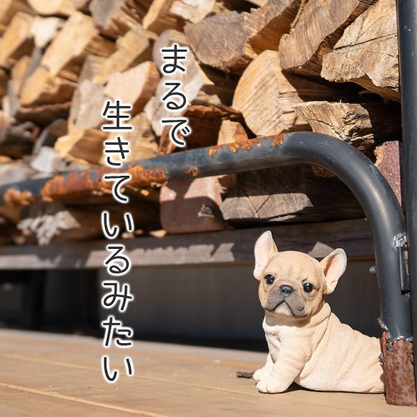 happy-joint_wb0002_4_d_20240122102357