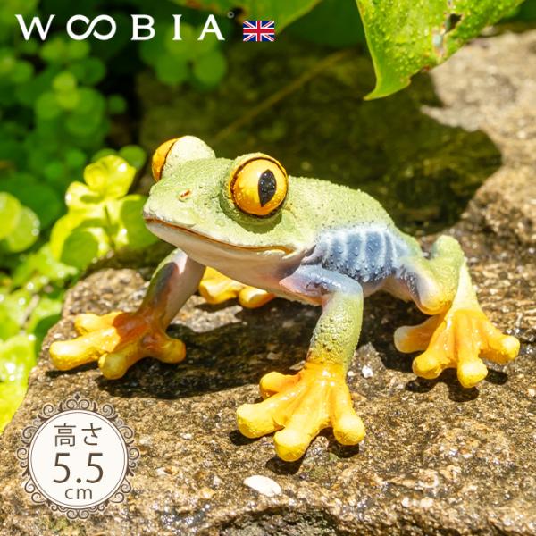 ■商品名　お目々がかわいいカエル《 アカメアマガエル 5.5cm》■ブランド  WOOBIA（ウービア）■内容物　本体■サイズ　横幅9cm × 奥行9.6cm × 高さ5.5cm■重さ　90g■素材　ポリレジン■関連ワード　ガーデニング 雑...